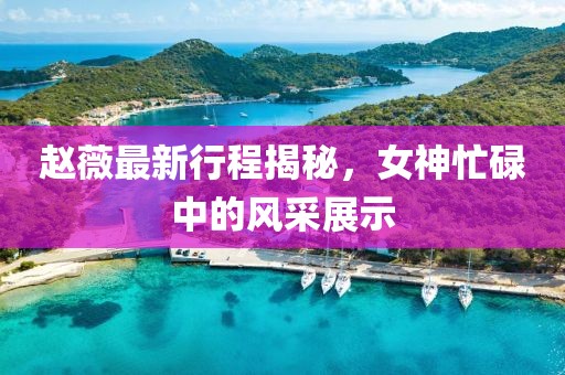 趙薇最新行程揭秘，女神忙碌中的風(fēng)采展示