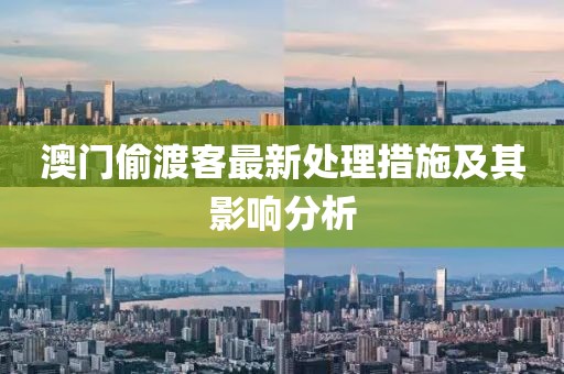 澳門偷渡客最新處理措施及其影響分析