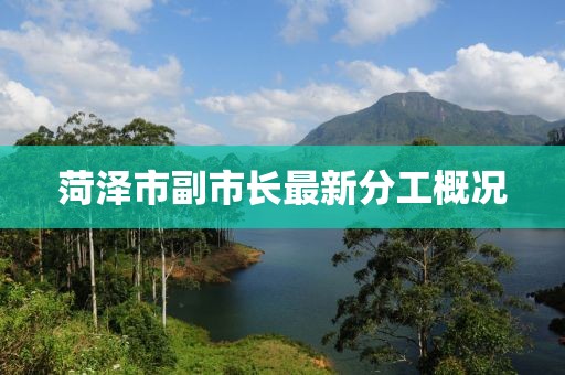 菏澤市副市長最新分工概況