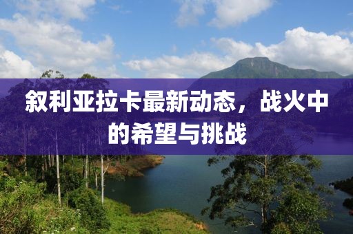 敘利亞拉卡最新動態(tài)，戰(zhàn)火中的希望與挑戰(zhàn)