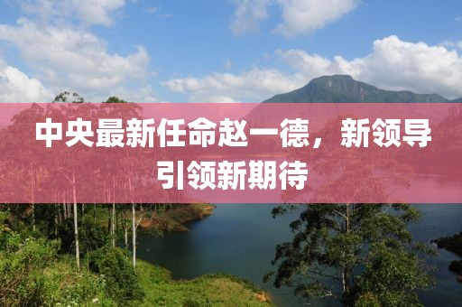 中央最新任命趙一德，新領(lǐng)導(dǎo)引領(lǐng)新期待