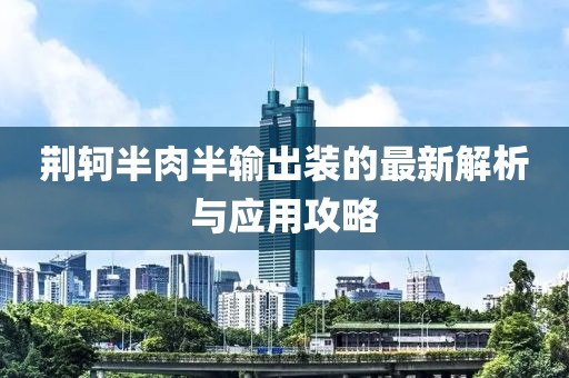 荊軻半肉半輸出裝的最新解析與應(yīng)用攻略