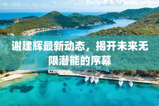 謝建輝最新動(dòng)態(tài)，揭開未來(lái)無(wú)限潛能的序幕