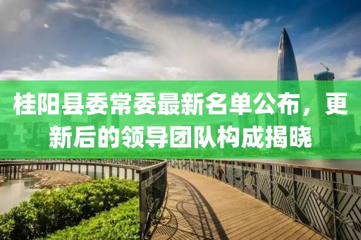 桂陽縣委常委最新名單公布，更新后的領導團隊構成揭曉