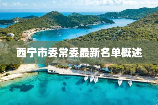 西寧市委常委最新名單概述