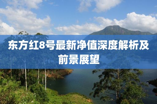 東方紅8號最新凈值深度解析及前景展望