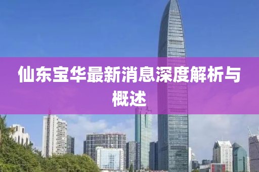仙東寶華最新消息深度解析與概述