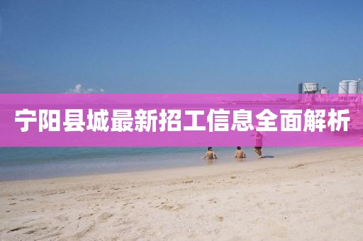 寧陽縣城最新招工信息全面解析