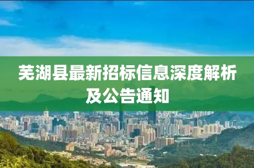 蕪湖縣最新招標(biāo)信息深度解析及公告通知