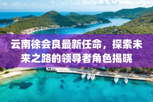 云南徐會良最新任命，探索未來之路的領導者角色揭曉