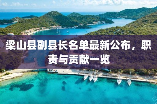 梁山縣副縣長名單最新公布，職責(zé)與貢獻(xiàn)一覽