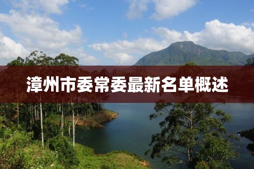漳州市委常委最新名單概述