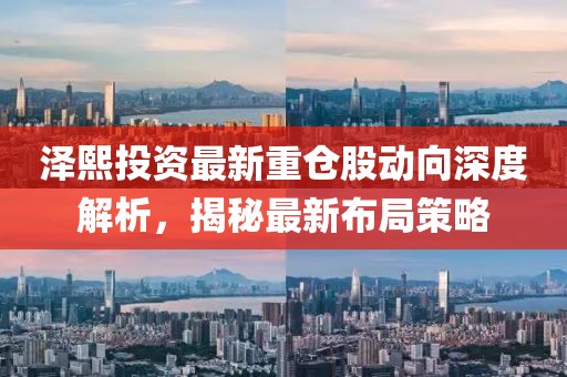澤熙投資最新重倉股動向深度解析，揭秘最新布局策略