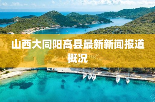 山西大同陽高縣最新新聞報(bào)道概況