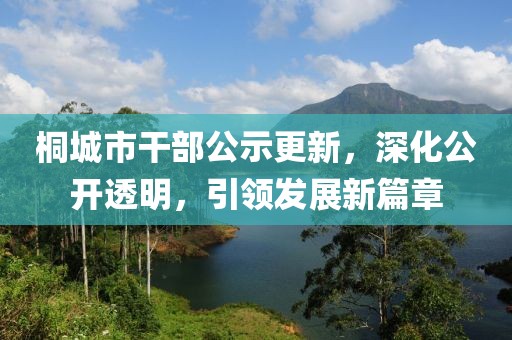 桐城市干部公示更新，深化公開(kāi)透明，引領(lǐng)發(fā)展新篇章
