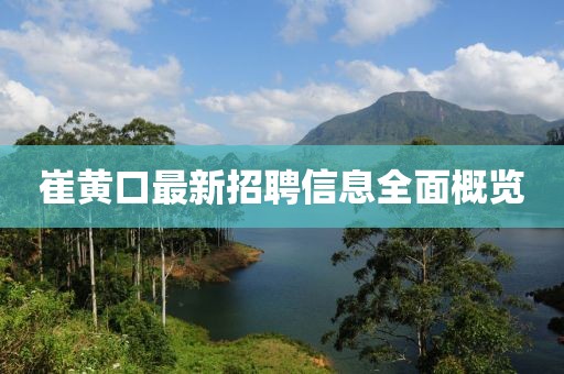 崔黃口最新招聘信息全面概覽