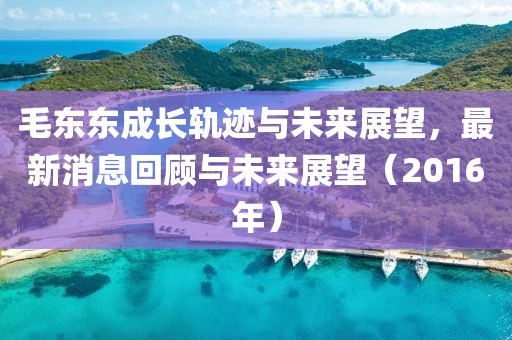 毛東東成長軌跡與未來展望，最新消息回顧與未來展望（2016年）