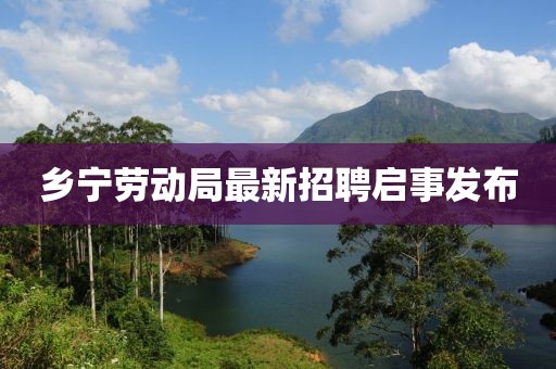 鄉(xiāng)寧勞動局最新招聘啟事發(fā)布