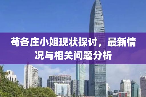 茍各莊小姐現(xiàn)狀探討，最新情況與相關(guān)問(wèn)題分析