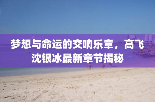 夢想與命運的交響樂章，高飛沈銀冰最新章節(jié)揭秘
