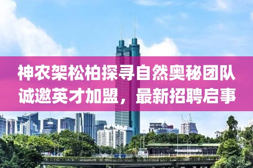 神農(nóng)架松柏探尋自然奧秘團(tuán)隊(duì)誠邀英才加盟，最新招聘啟事