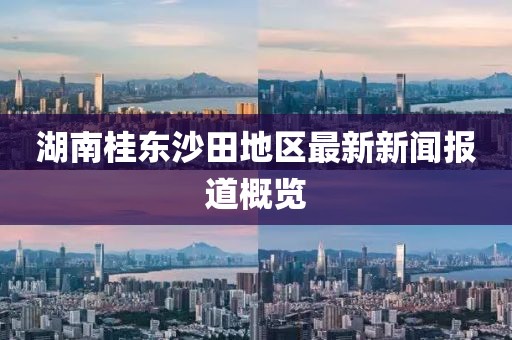 湖南桂東沙田地區(qū)最新新聞報道概覽
