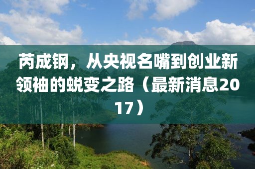 芮成鋼，從央視名嘴到創(chuàng)業(yè)新領(lǐng)袖的蛻變之路（最新消息2017）