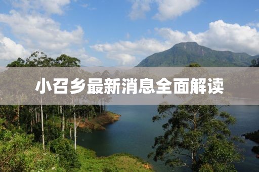 小召鄉(xiāng)最新消息全面解讀