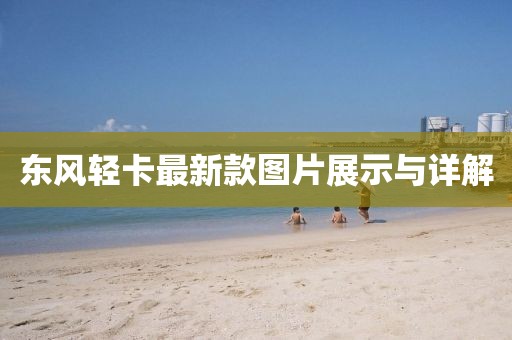 東風輕卡最新款圖片展示與詳解