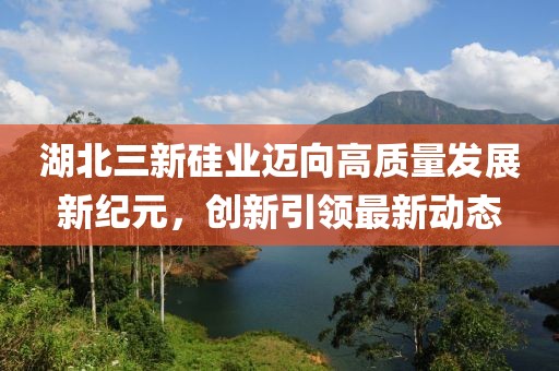 湖北三新硅業(yè)邁向高質量發(fā)展新紀元，創(chuàng)新引領最新動態(tài)