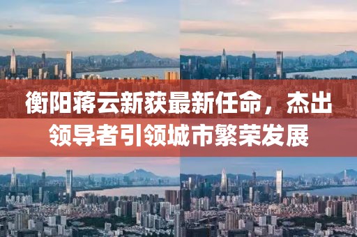 衡陽蔣云新獲最新任命，杰出領(lǐng)導(dǎo)者引領(lǐng)城市繁榮發(fā)展