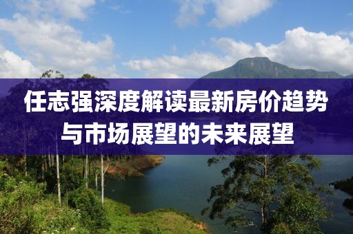 任志強(qiáng)深度解讀最新房價趨勢與市場展望的未來展望