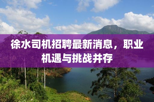 徐水司機招聘最新消息，職業(yè)機遇與挑戰(zhàn)并存