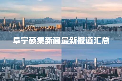 阜寧碩集新聞最新報(bào)道匯總