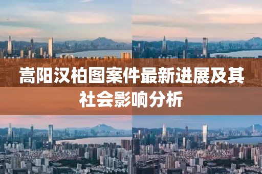嵩陽(yáng)漢柏圖案件最新進(jìn)展及其社會(huì)影響分析