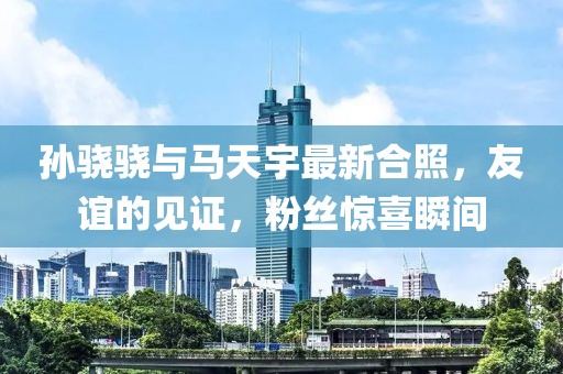 孫驍驍與馬天宇最新合照，友誼的見證，粉絲驚喜瞬間