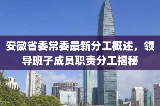 安徽省委常委最新分工概述，領(lǐng)導(dǎo)班子成員職責(zé)分工揭秘
