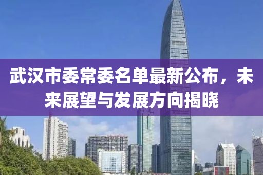 武漢市委常委名單最新公布，未來展望與發(fā)展方向揭曉