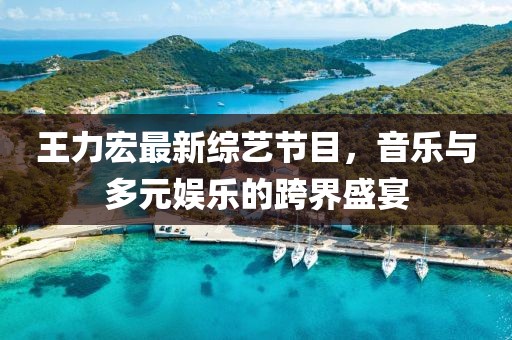 王力宏最新綜藝節(jié)目，音樂與多元娛樂的跨界盛宴