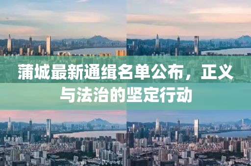 蒲城最新通緝名單公布，正義與法治的堅定行動
