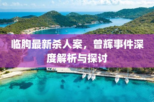 臨朐最新殺人案，曾輝事件深度解析與探討