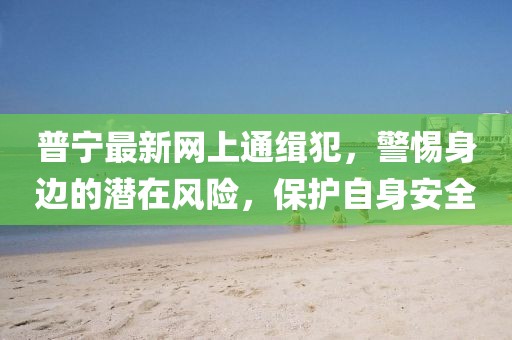 普寧最新網(wǎng)上通緝犯，警惕身邊的潛在風(fēng)險，保護(hù)自身安全