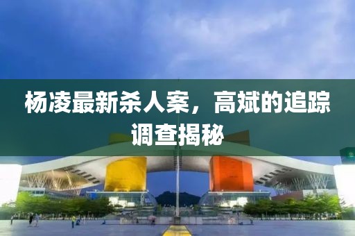 楊凌最新殺人案，高斌的追蹤調(diào)查揭秘