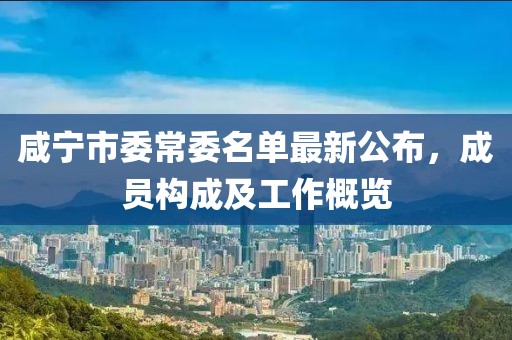 咸寧市委常委名單最新公布，成員構(gòu)成及工作概覽