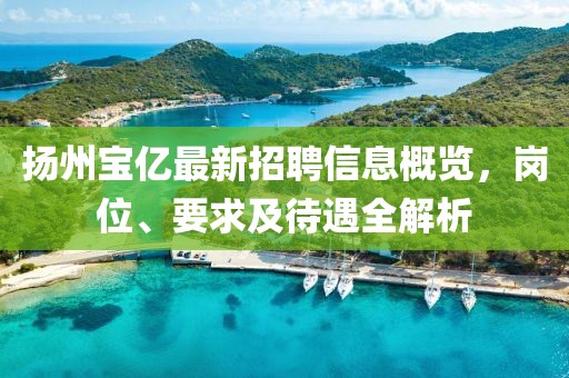 揚(yáng)州寶億最新招聘信息概覽，崗位、要求及待遇全解析