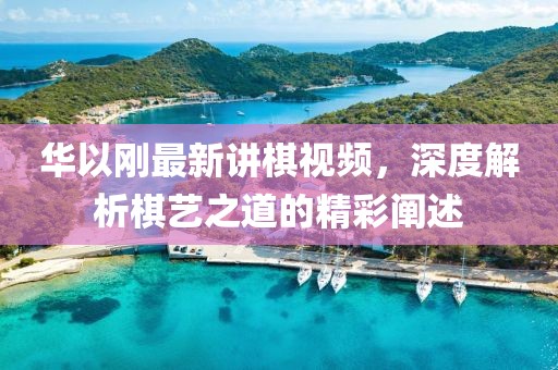 華以剛最新講棋視頻，深度解析棋藝之道的精彩闡述