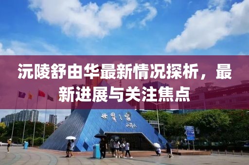 沅陵舒由華最新情況探析，最新進(jìn)展與關(guān)注焦點