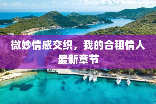 微妙情感交織，我的合租情人最新章節(jié)
