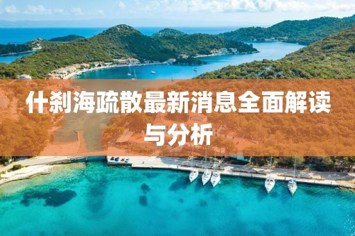 什剎海疏散最新消息全面解讀與分析