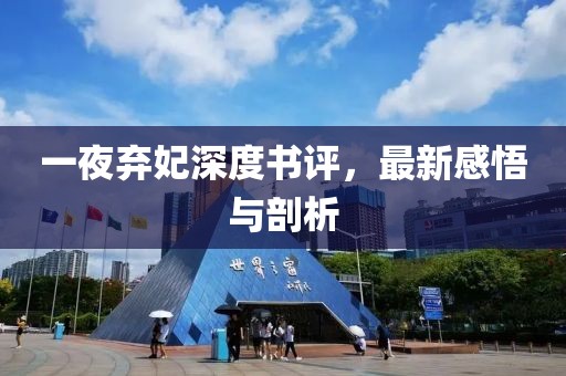 一夜棄妃深度書評，最新感悟與剖析